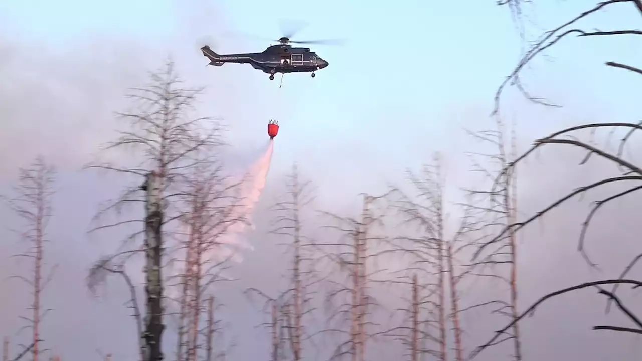 Waldbrand bei Jüterbog weitet sich aus – Löscheinsatz aus der Luft