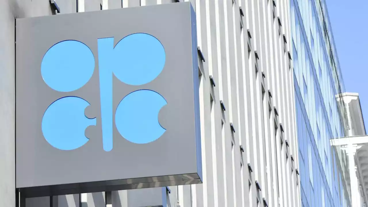 Opec+ dürfte Förderkürzungen nicht weiter verschärfen