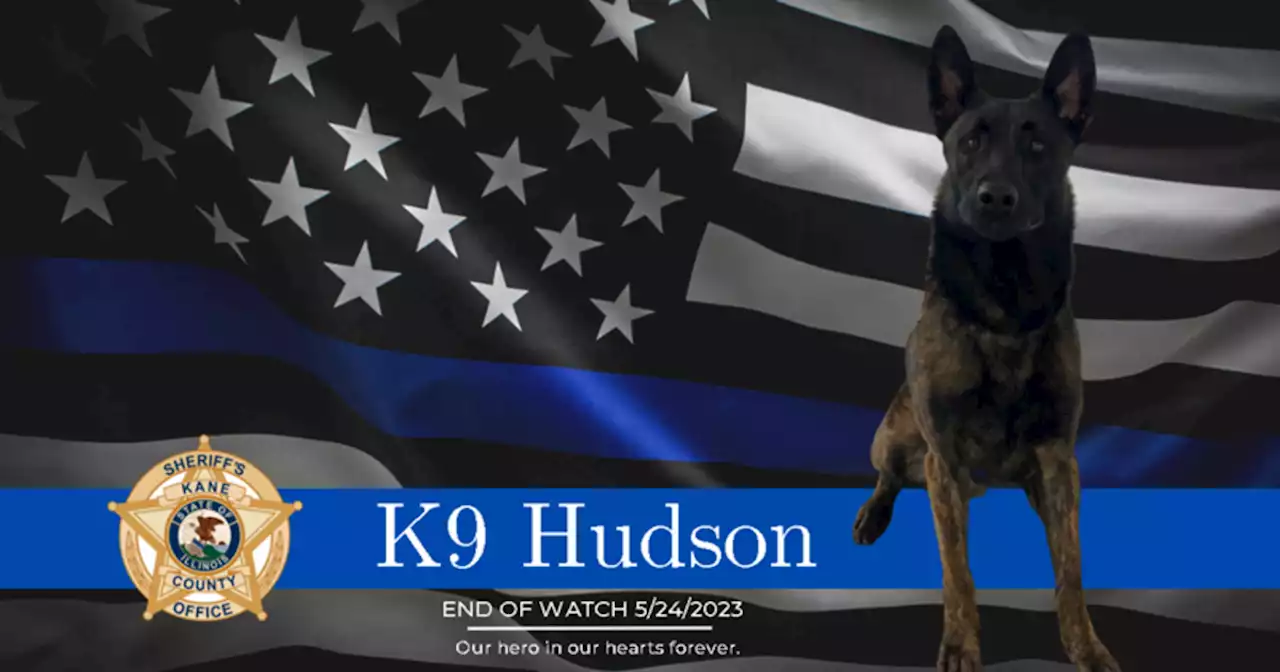 Hundreds mourn Kane County K9 Hudson who was killed in action