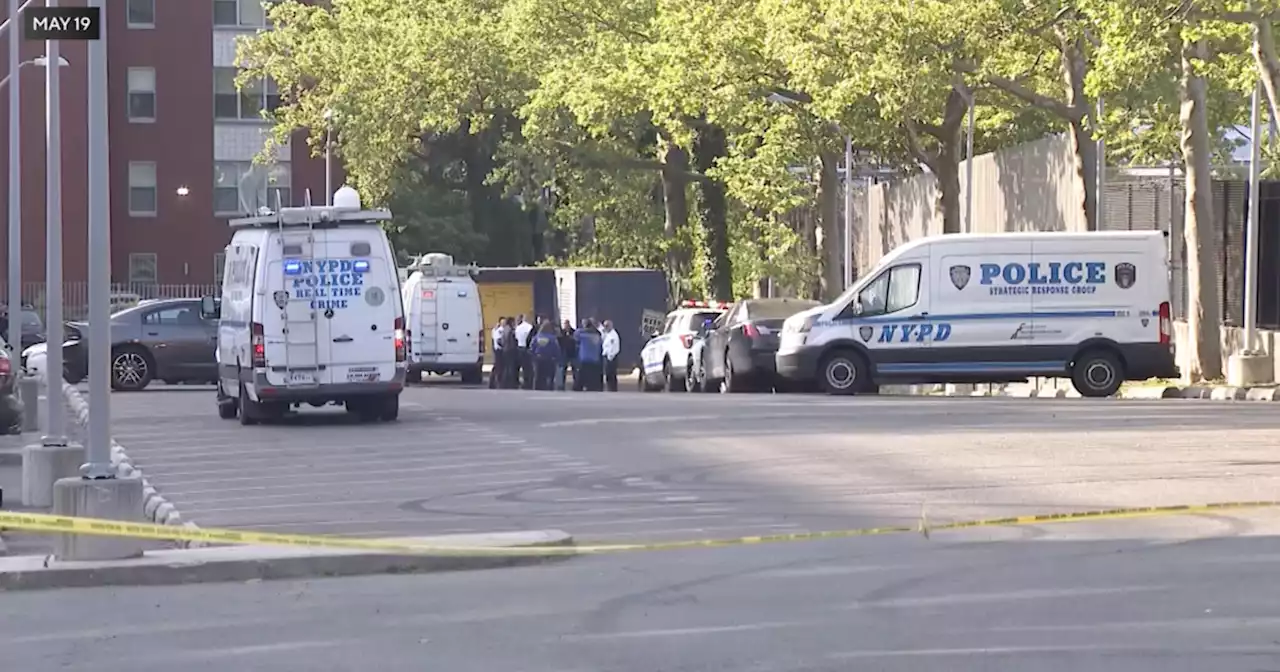 Anti-gun violence community day comes to Highland Park in Brooklyn