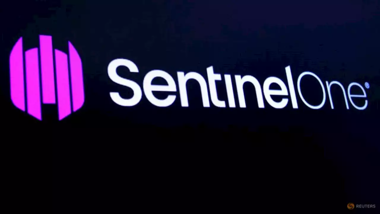 SentinelOne's disappointing forecast slams shares