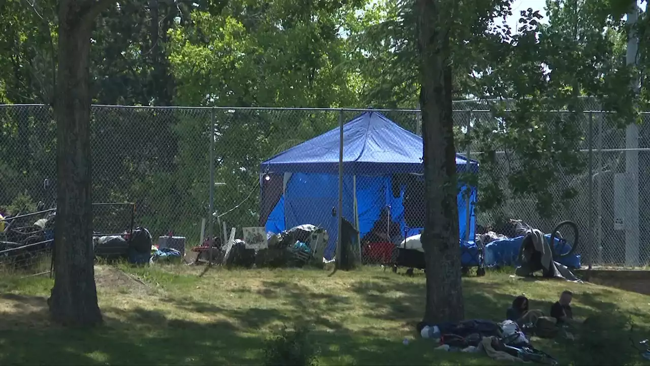 Neighbours worry about safety at Topaz Park as summer approaches