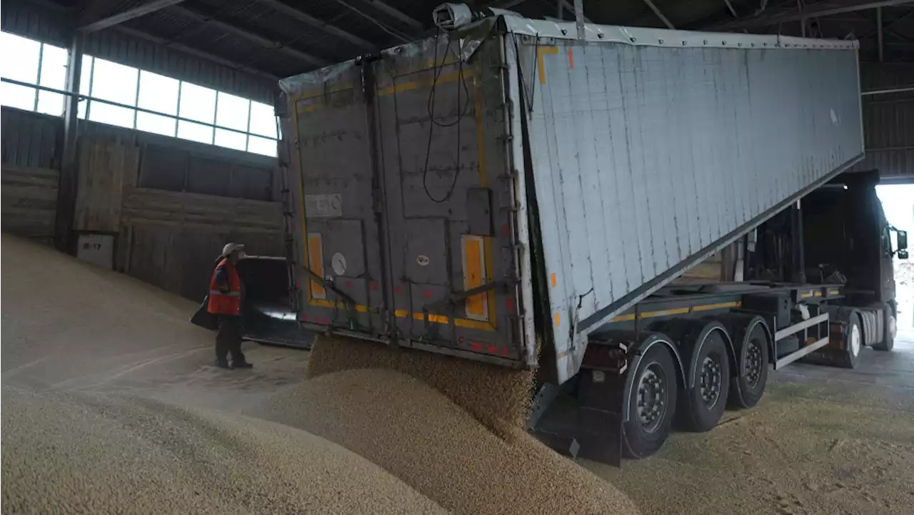 UN warns of new threat to global food security after Russia limits Ukraine grain shipments