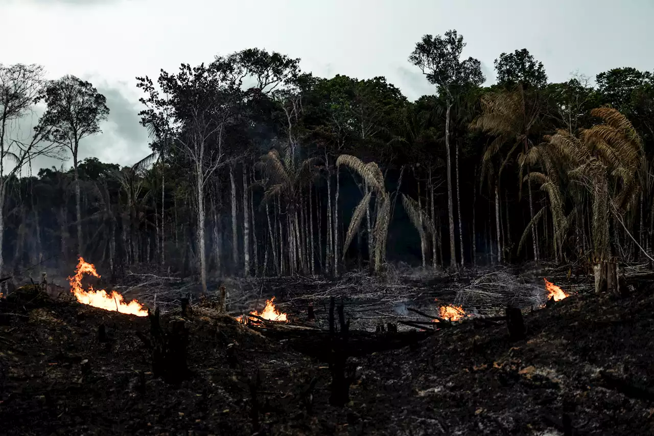 Incendios en la Amazonía brasileña se disparan un 120 % en mayo