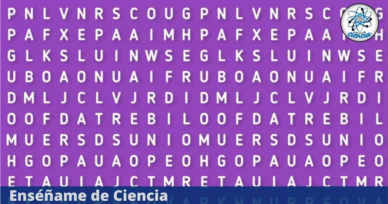 Encuentra la palabra “FOCA” en 8 segundos; participa en el acertijo visual del momento