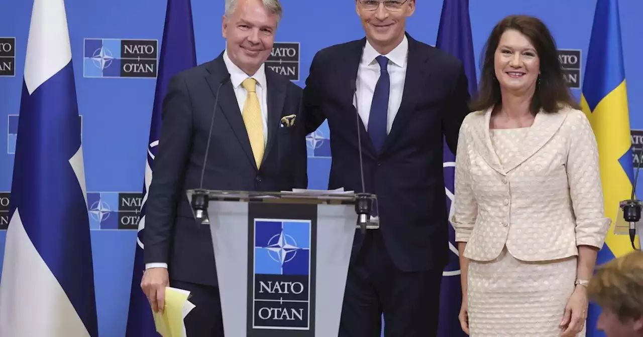 “Se la Svezia non entra nella Nato è un problema”, ci dice l'ex ministro Johansson