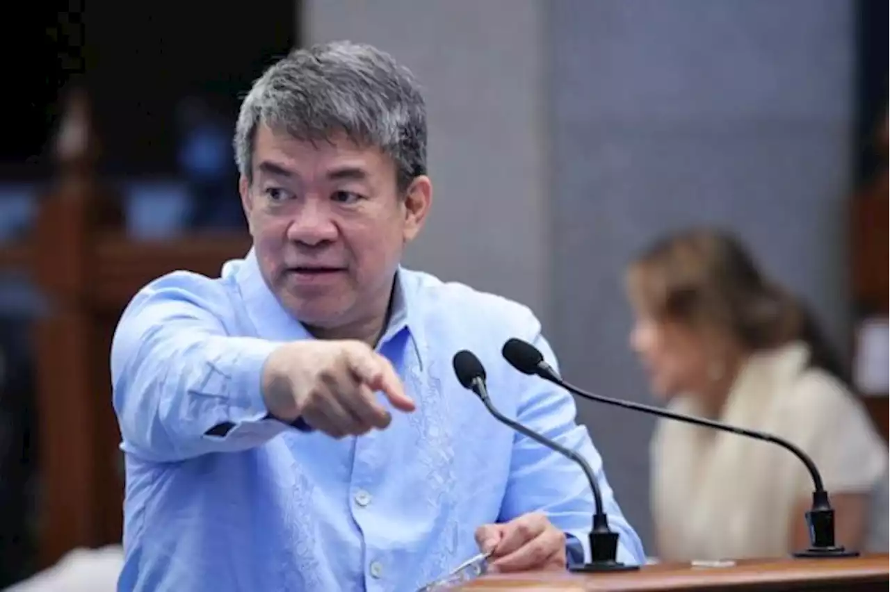 Veto Maharlika bill, return it to Congress to fix potential pitfalls, Pimentel presses Marcos