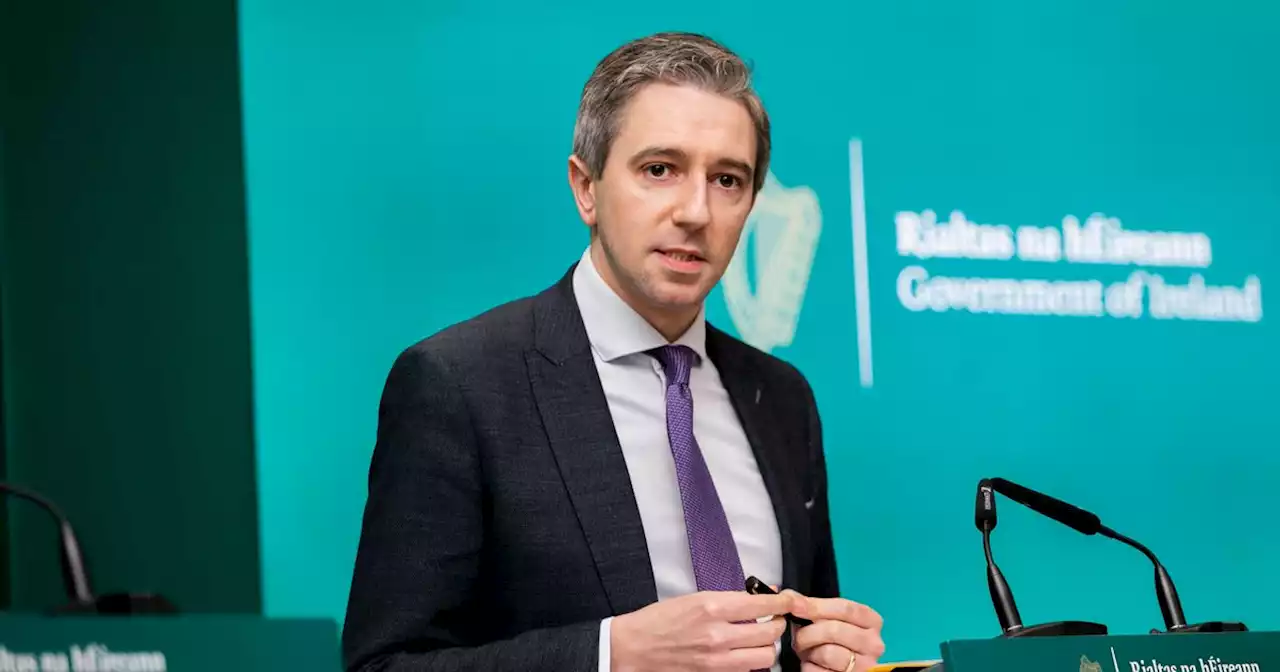 Harris slams angst over FG tax cut calls and denies party trying to 'wind up' FF