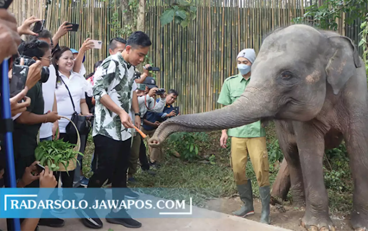 Ramai-Ramai Berandai Sosok Wali Kota Baru, Gibran: Saya Tidak Tahu yang Dibahas