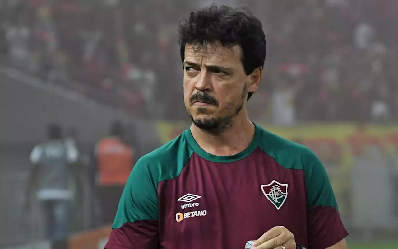 Fernando Diniz não vê atuação ruim e mostra cautela com reforços: 'O Fluminense não tem dinheiro' | Fluminense | O Dia