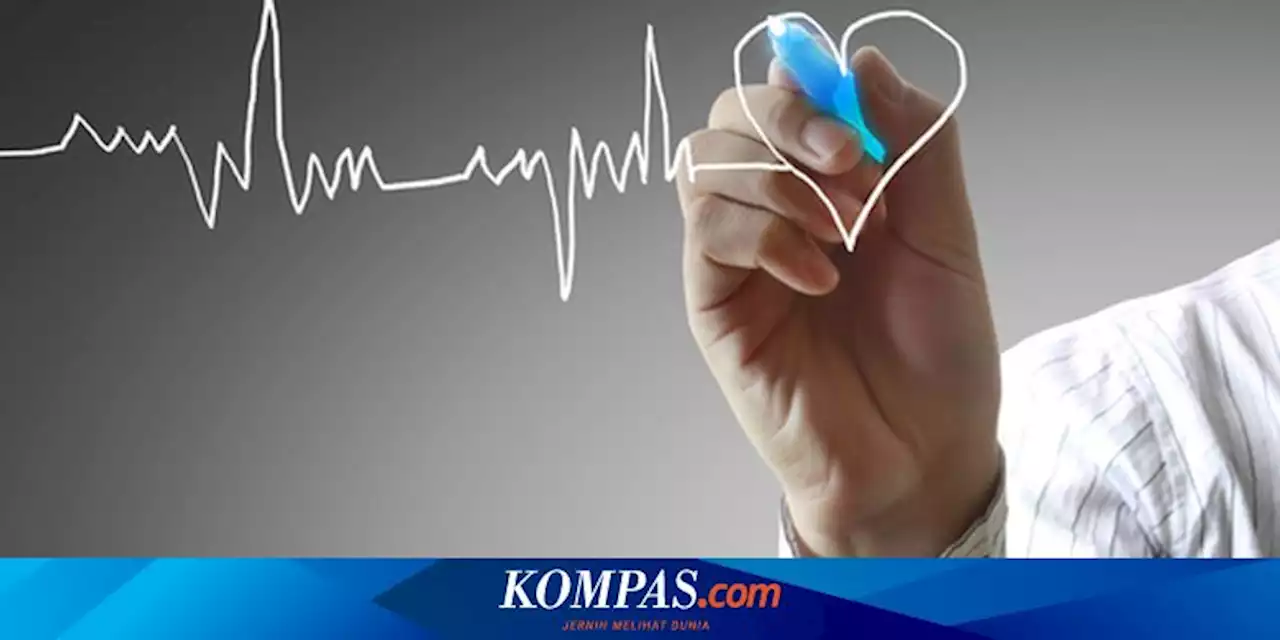 Faktor Risiko Pemicu Penyakit Jantung, Kata Dokter