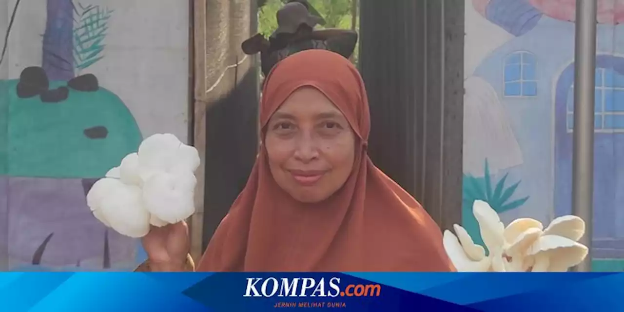 Nasib Petani Jamur di Batang: Sehari Diupah Rp 30.000, Tidak Ada Hari Libur