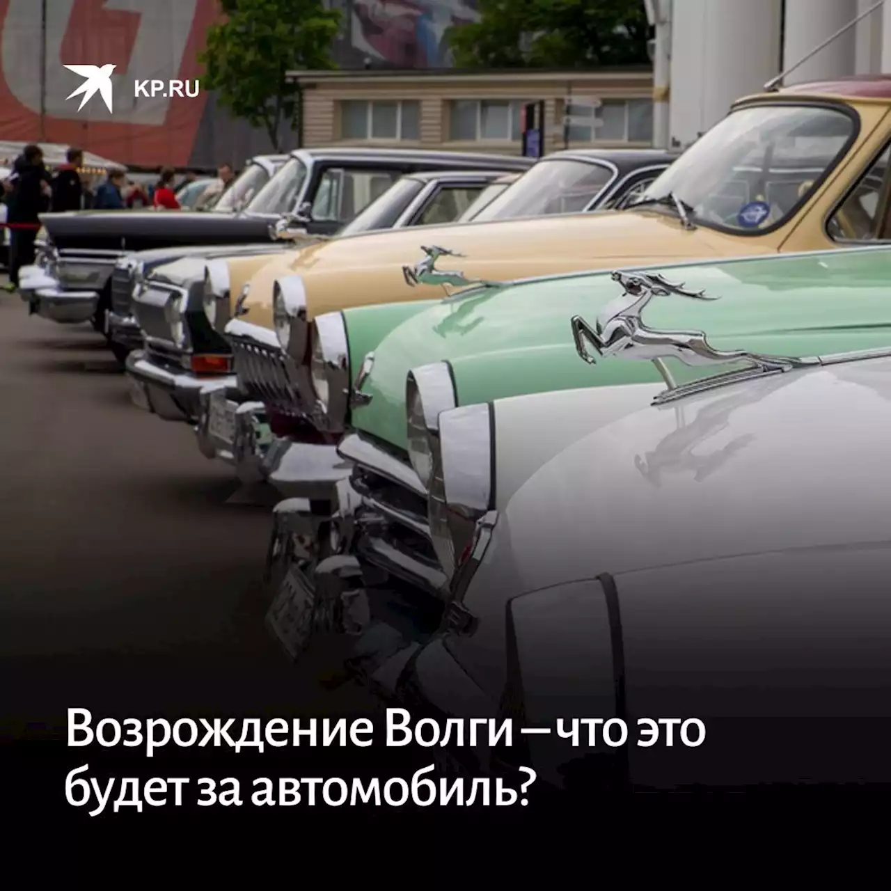 Возрождение Волги – что это будет за автомобиль?