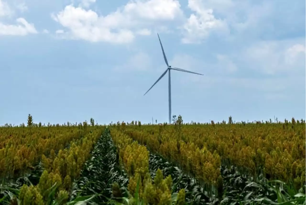 Climate proposals withered at the Texas Capitol this year