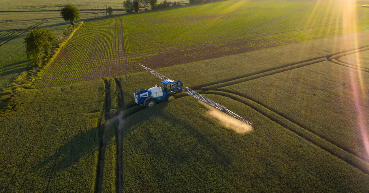 Assemblée nationale : le PS va enquêter sur les politiques d’utilisation des pesticides