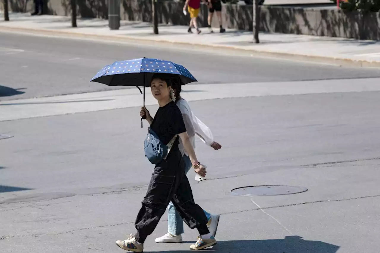 Heat wave and wildfires scorch east Canada