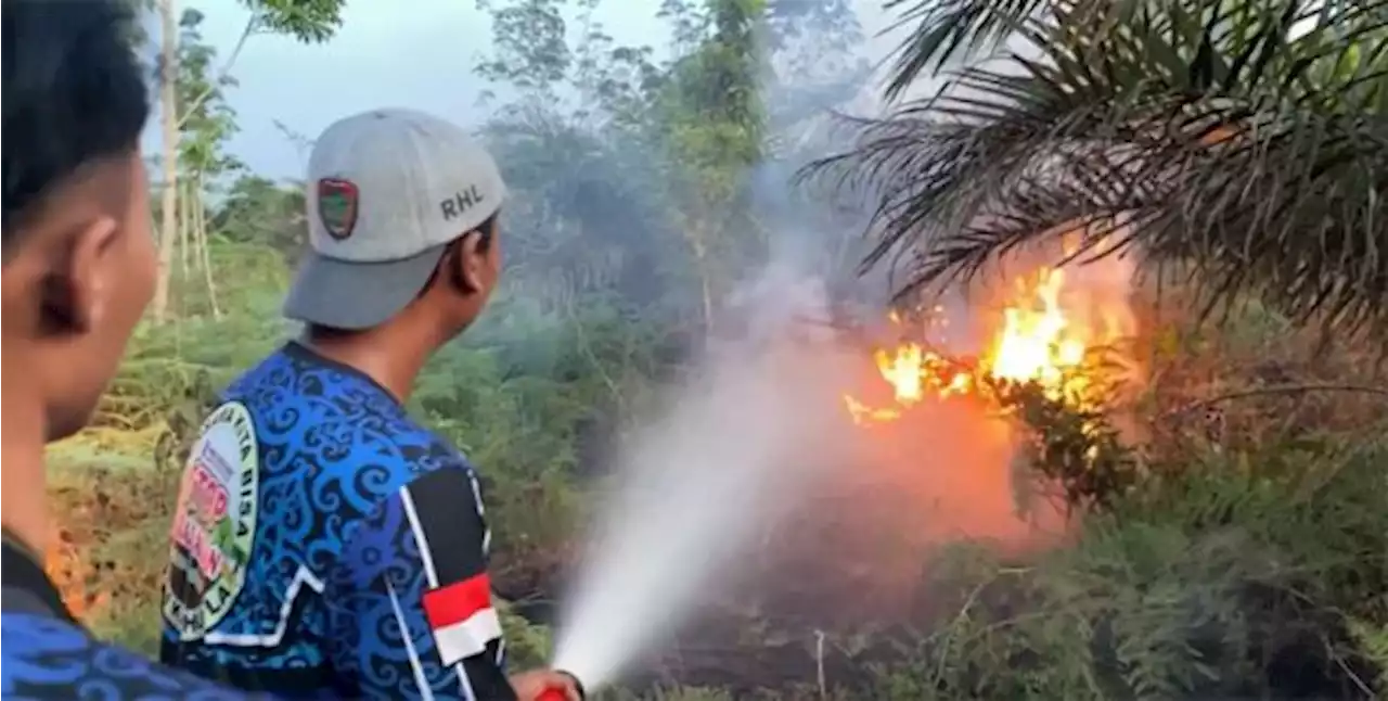 Karhutla, Palangka Raya Terancam Kabut Asap