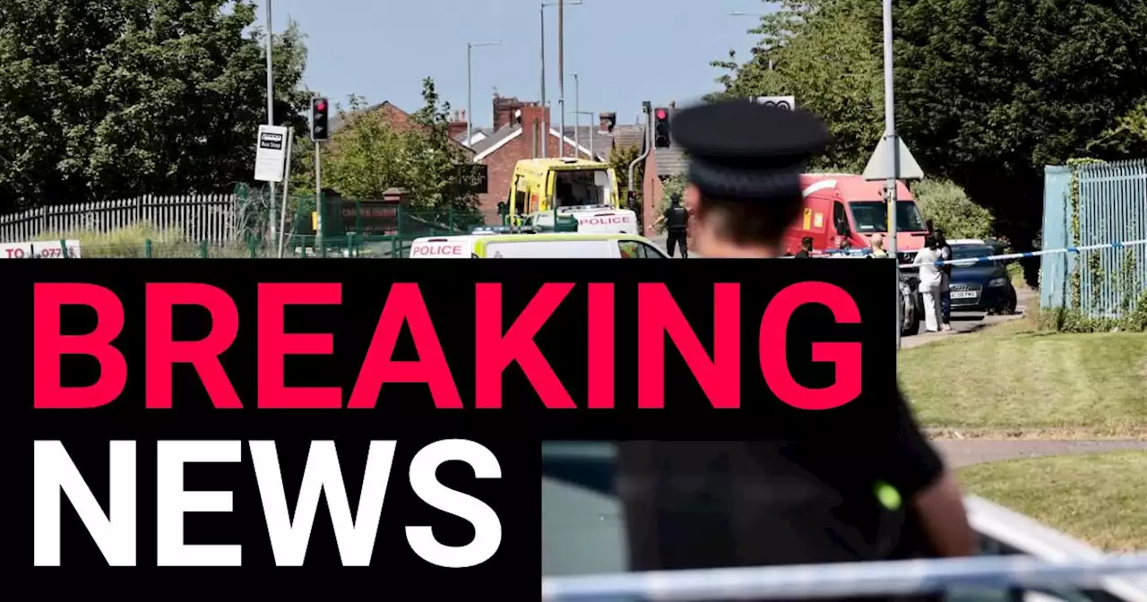 Manhunt launched for knifeman after woman, 44, stabbed to death