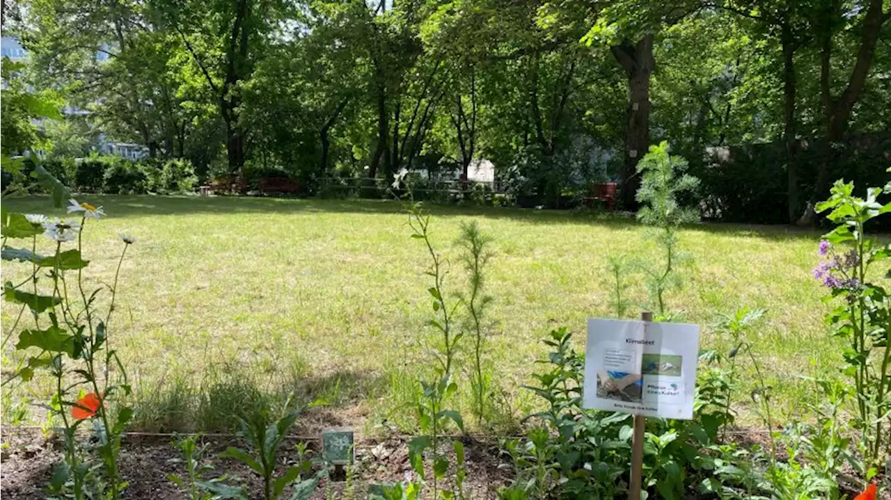 Garten-Initiative geht das Wasser aus