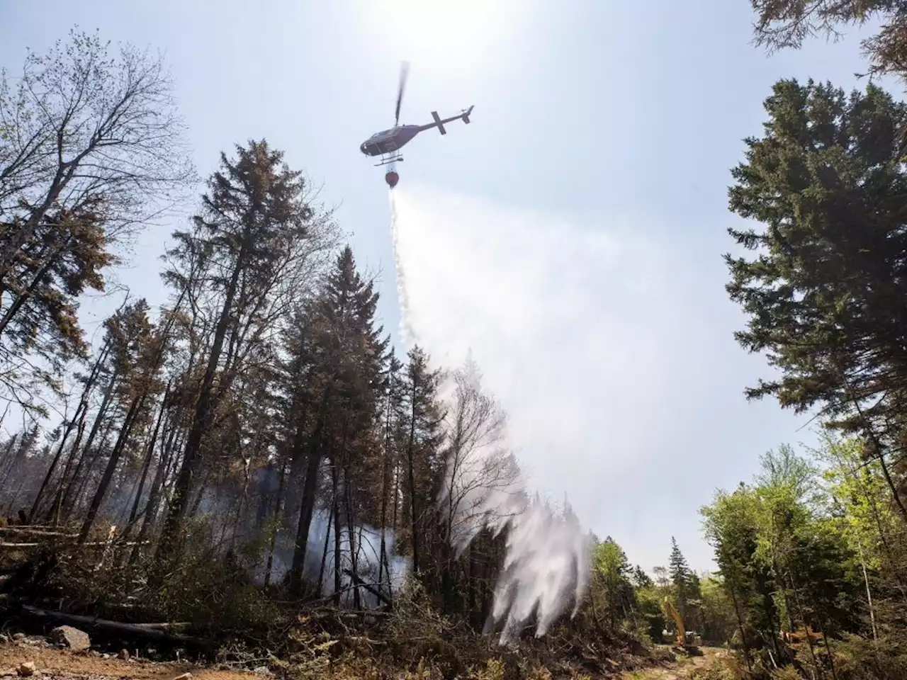 Barrington Lake blaze in Nova Scotia is the largest wildfire ever recorded in provincial history