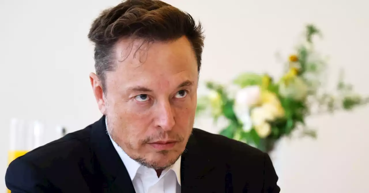 Elon Musk’s new Twitter pronoun rule invites bullying, LGBTQ groups say