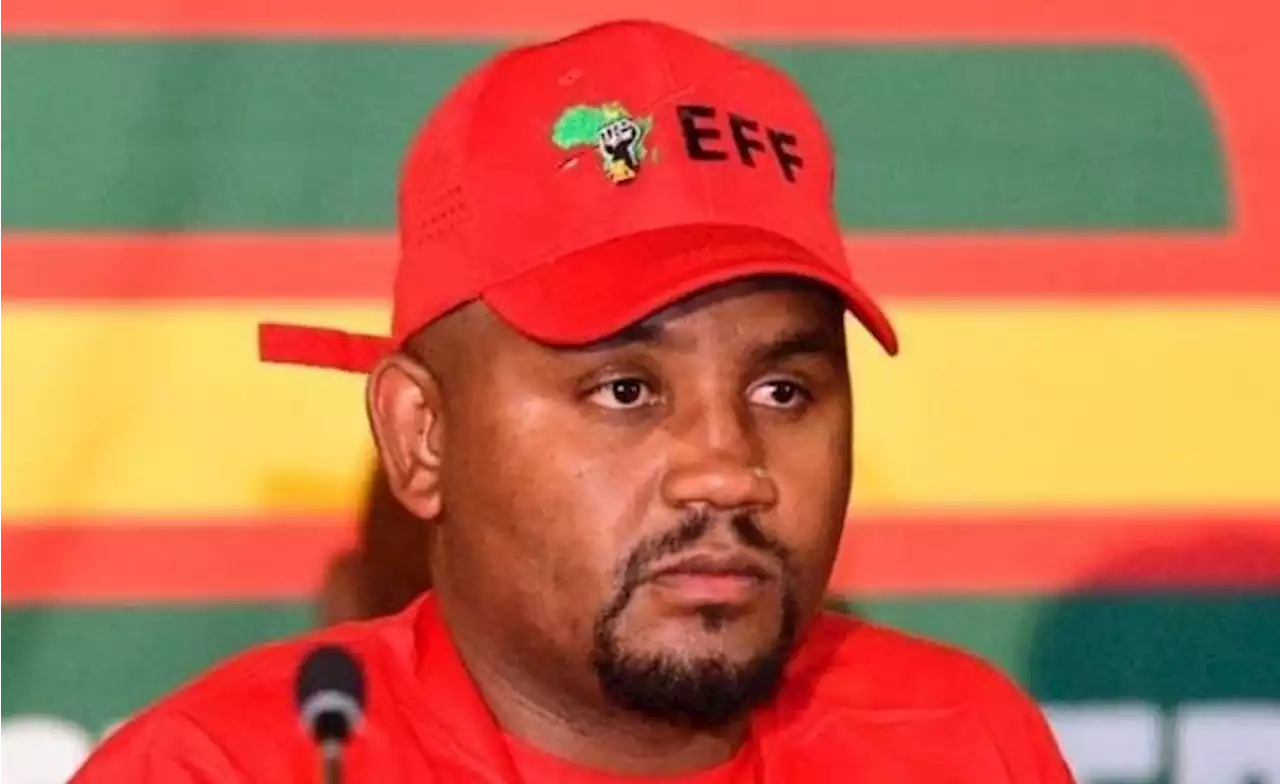 EFF Ekurhuleni welcomes staff audit to 'clamp down on corrupt elements' | News24