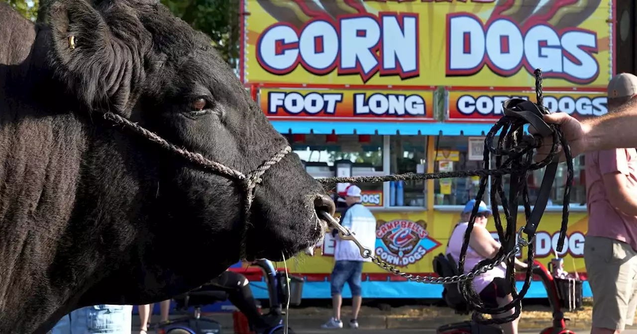 Trump Promises to Hold Yearlong ‘Great American State Fair’ in Iowa