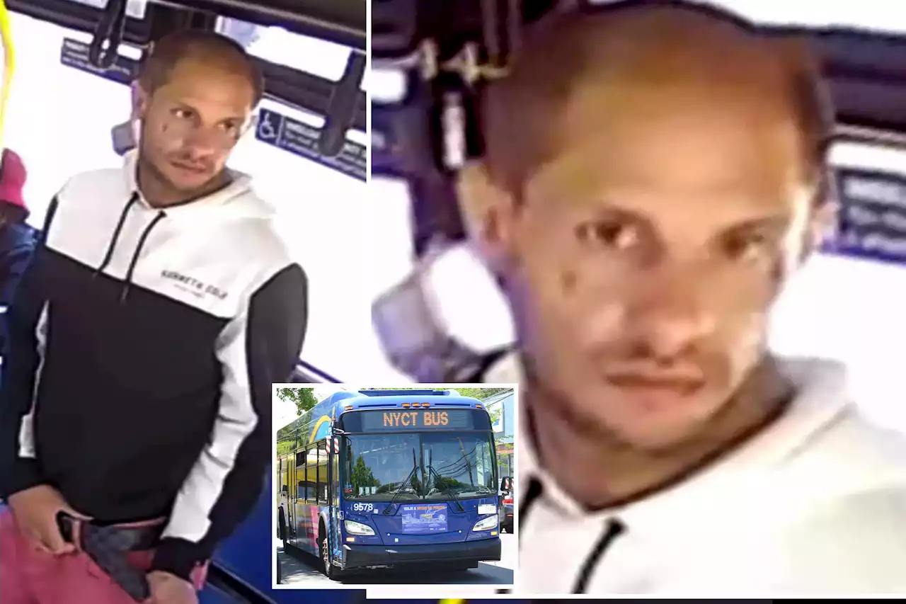 NYC perv fondles 16-year-old girl, offers her ring on bus: cops