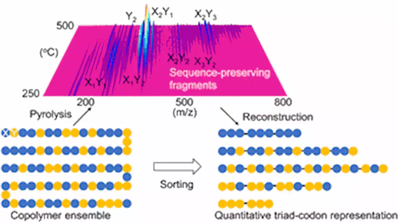 A data-driven sequencer that unveils latent “codons” in synthetic copolymers