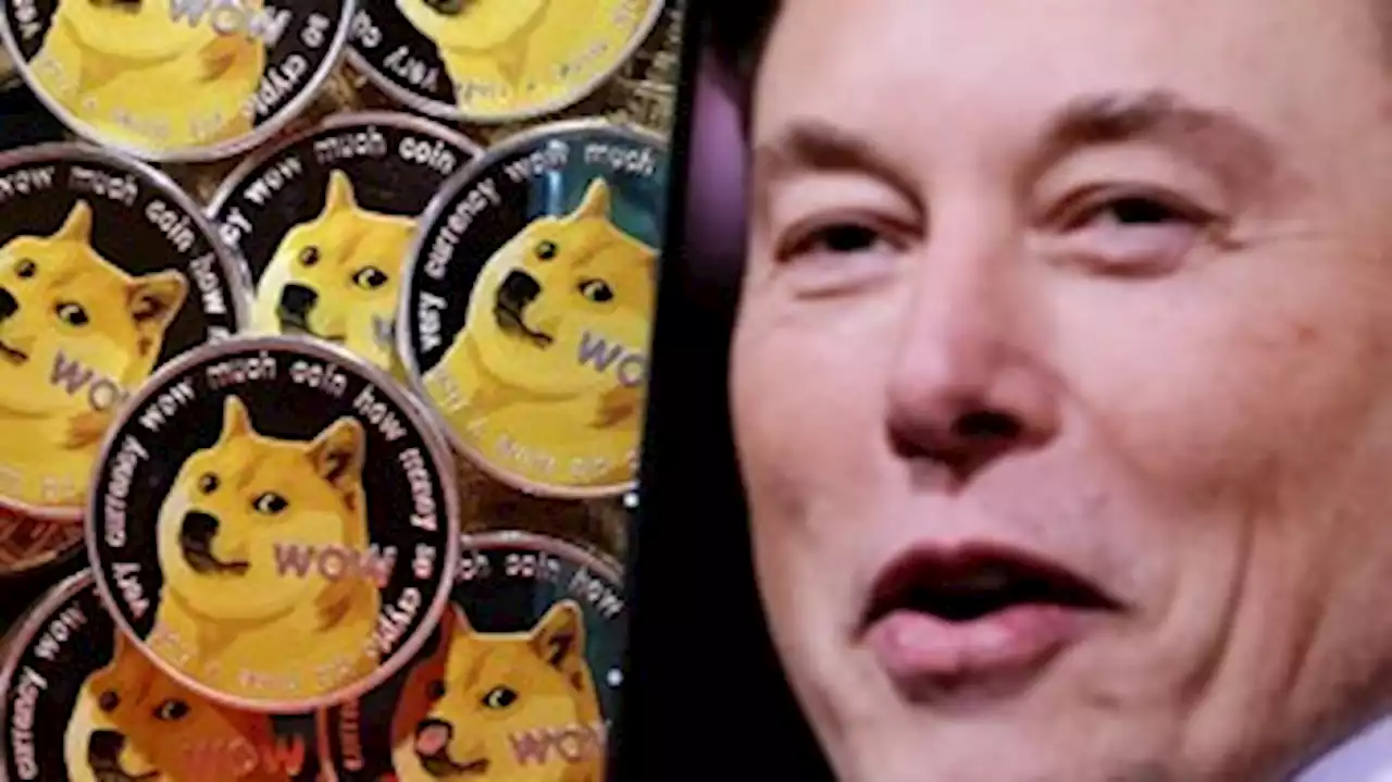 Elon Musk é acusado de manipulação financeira em processo sobre Dogecoin