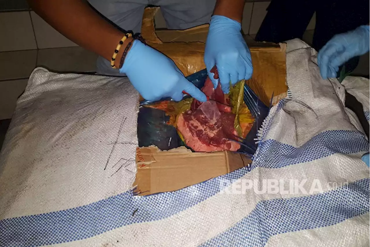 Pemda Riau: Daging yang Diambil Warga dari TPA Itu Bahaya |Republika Online