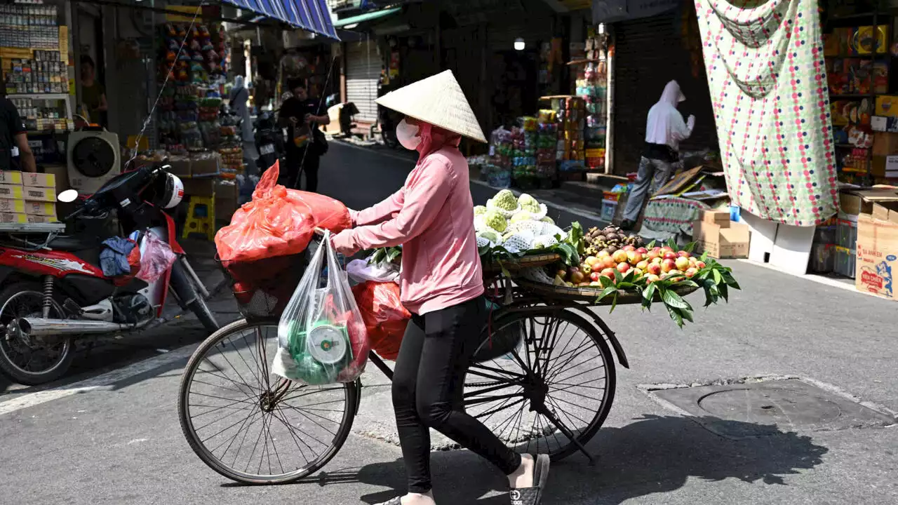 Vietnam: une importante militante écologiste détenue pour évasion fiscale