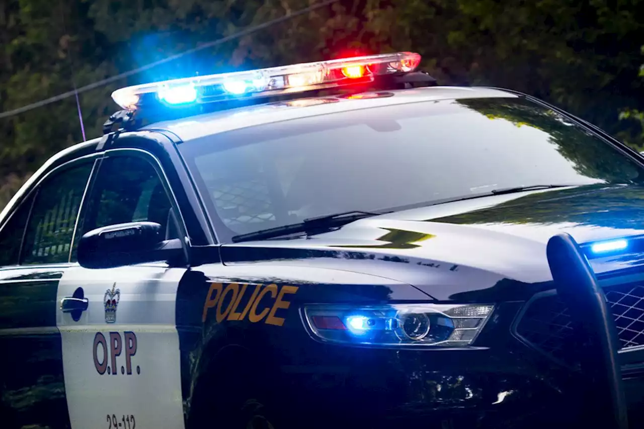 Life lesson: If you're wanted by cops during fire ban, don't light bonfire