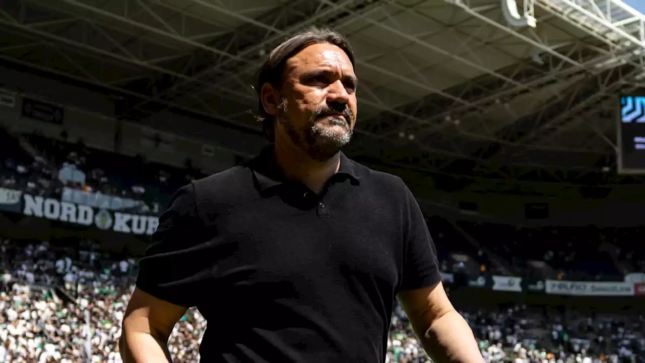 Borussia Mönchengladbach: Gladbach feuert Trainer Daniel Farke