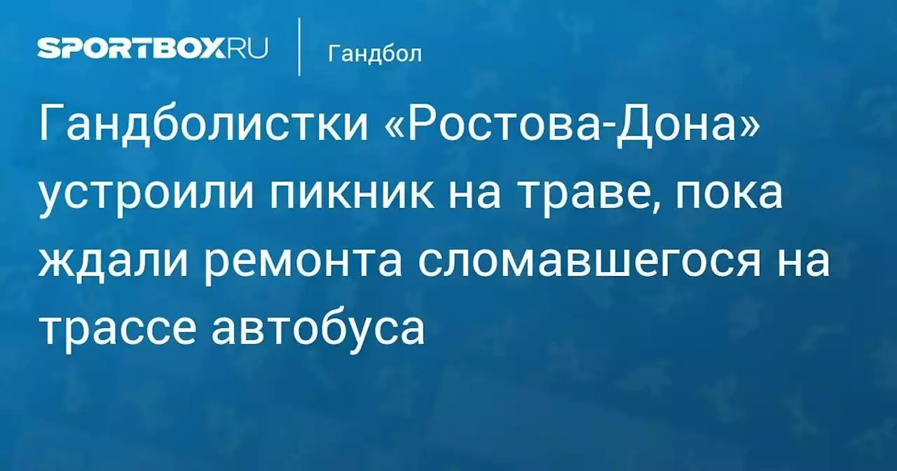 Гандболистки «Ростов-Дона» устроили пикник на траве, пока ждали ремонта сломавшегося на трассе автобуса