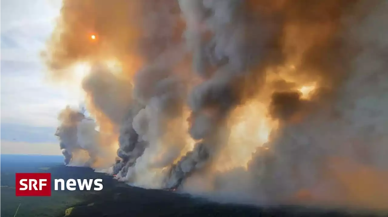 Verheerende Waldbrände - Feuerwehrleute aus den USA und Südafrika helfen in Kanada