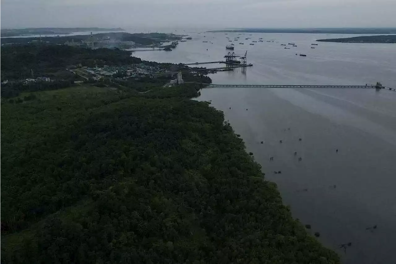 Indonesia pushes tourism to boost mangrove restoration