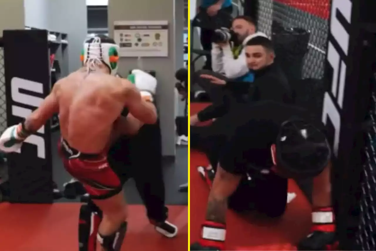 Conor McGregor uses ‘titanium shin bone’ to drop UFC wannabe in sparring session