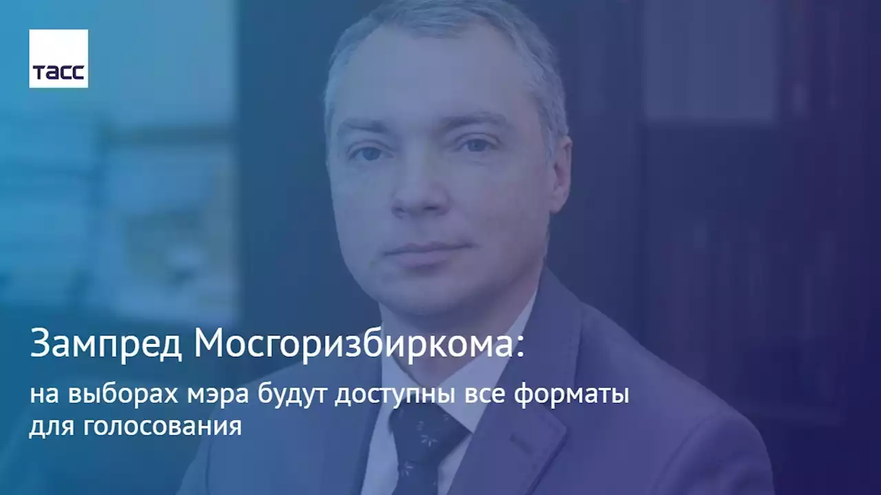 Зампред Мосгоризбиркома: на выборах мэра будут доступны все форматы для голосования - Интервью ТАСС