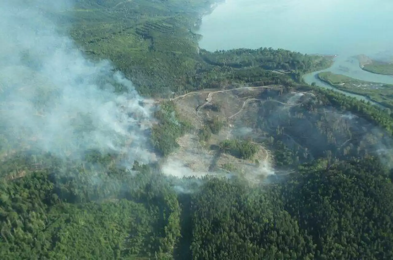 BC Wildfire Service extinguishes human-caused fire near Terrace - Terrace Standard