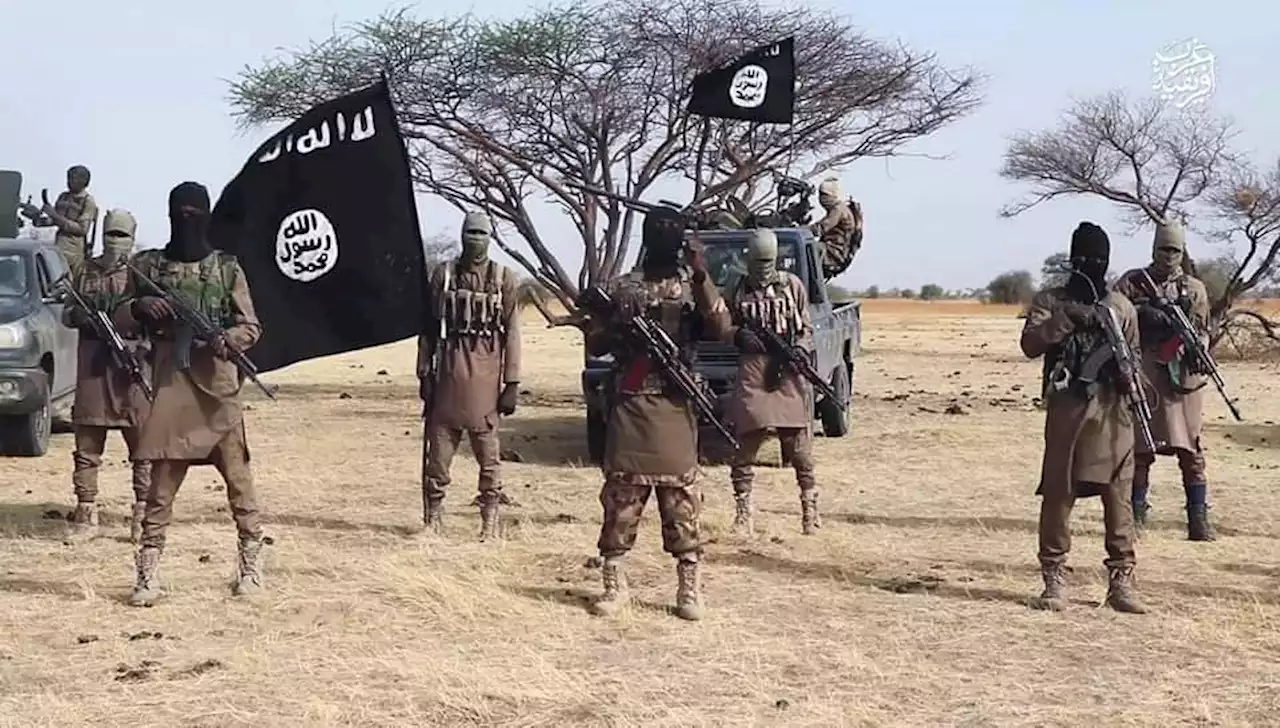 ‘73 ISWAP fighters’ surrender to troops in Borno | TheCable