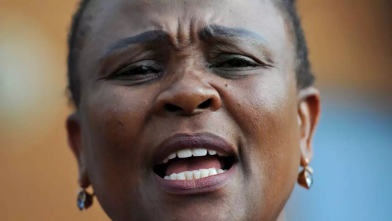 Mkhwebane's legal fees back on the agenda as Mpofu hikes his daily rate | The Citizen