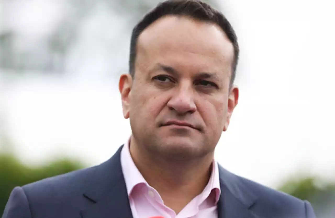 Independent review of abortion laws should not be treated as ‘gospel’, says Varadkar