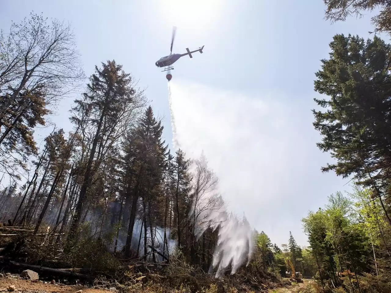 Nova Scotia's Barrington Lake blaze largest ever in recorded in provincial history