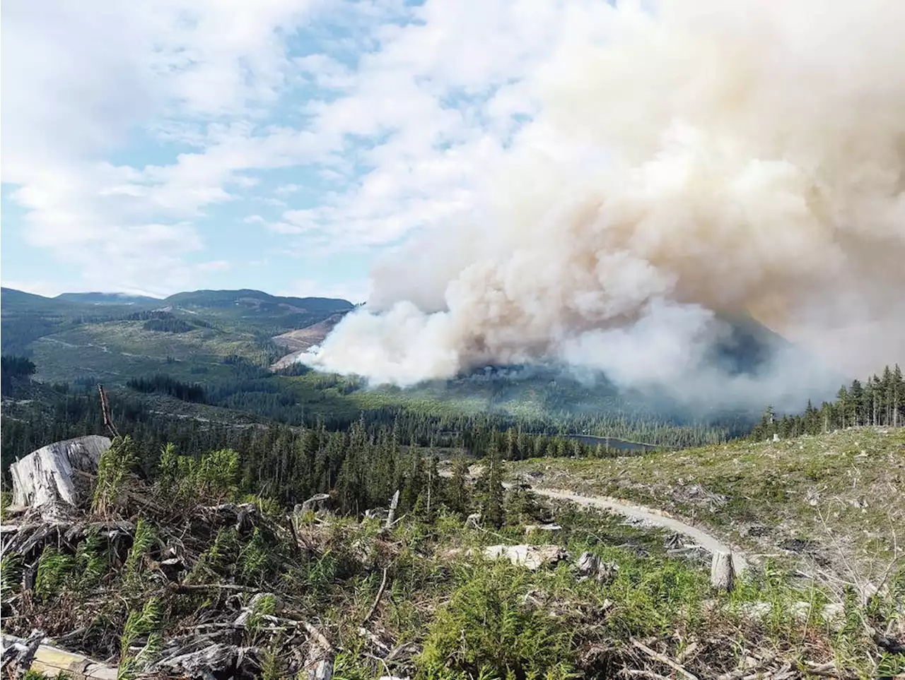 Fire near Sayward now estimated at 160 hectares, but no evacuation alert expected