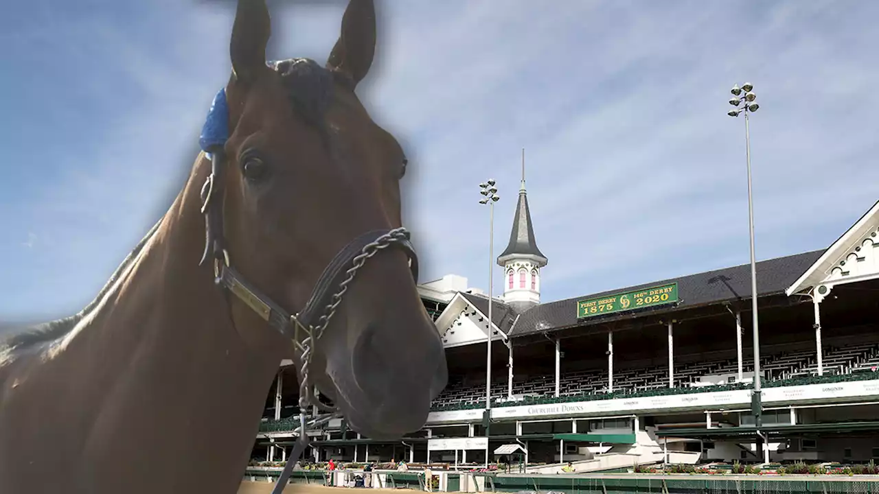 Churchill Downs Add New Safety Measures Following Rash Of Horse Deaths