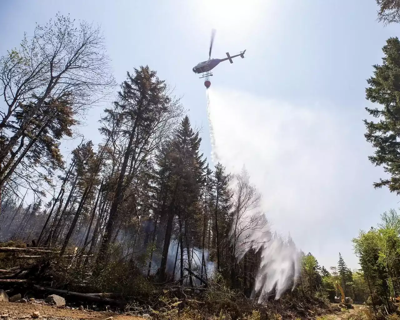 RCMP enforcing Nova Scotia’s ban on open fires, will charge maximum fine of $25,000