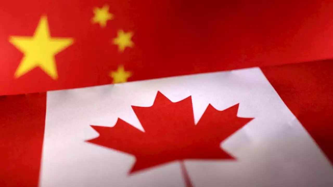 Canada police shut down 'Chinese police stations'