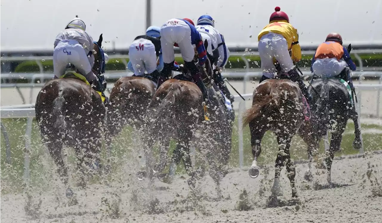 Synthetic surfaces gaining traction at major horse racing tracks