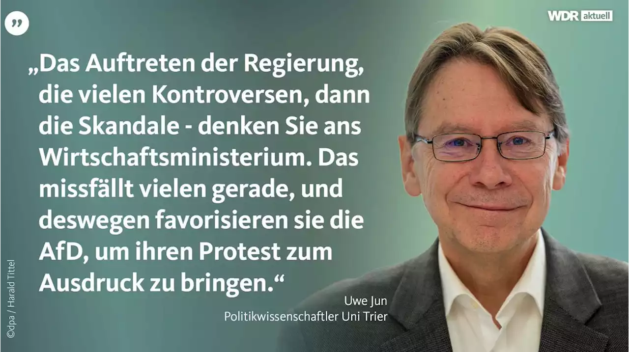 AfD im Umfragehoch: Warum die Partei erfolgreich ist